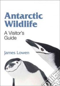 Antarctic Wildlife libro in lingua di Lowen James