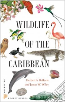 Wildlife of the Caribbean libro in lingua di Raffaele Herbert A., Wiley James W.