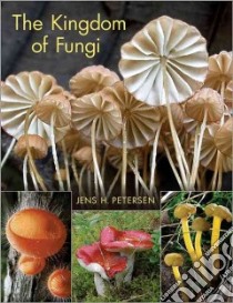 The Kingdom of Fungi libro in lingua di Petersen Jens H.