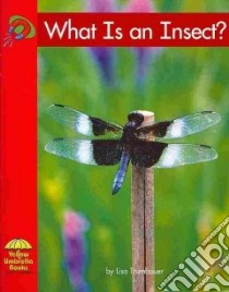What Is an Insect? libro in lingua di Trumbauer Lisa