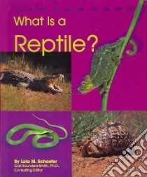What Is a Reptile? libro in lingua di Schaefer Lola M.