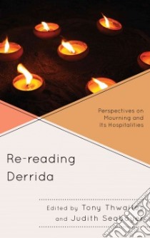 Re-reading Derrida libro in lingua di Thwaites Tony (EDT), Seaboyer Judith (EDT)