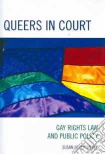 Queers in Court libro in lingua di Mezey Susan Gluck
