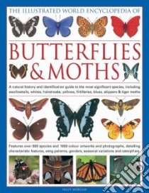 The Illustrated World Encyclopedia of Butterflies & Moths libro in lingua di Morgan Sally