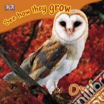 Owl libro in lingua di Taylor Kim