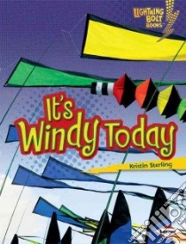 It's Windy Today libro in lingua di Sterling Kristin