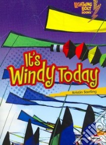 It's Windy Today libro in lingua di Sterling Kristin