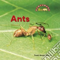 Ants libro in lingua di Trueit Trudi Strain