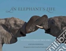 An Elephant's Life libro in lingua di O'Connell Caitlin, Rodwell Timothy (PHT)