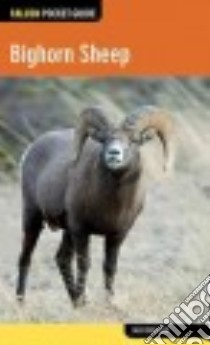 Bighorn Sheep libro in lingua di Ballard Jack