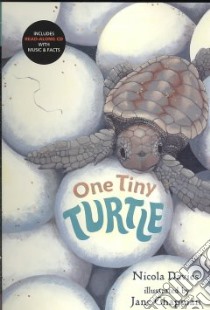 One Tiny Turtle libro in lingua di Davies Nicola, Chapman Jane (ILT)