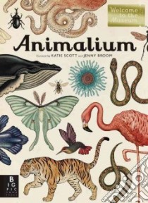 Animalium libro in lingua di Broom Jenny, Scott Katie (ILT)