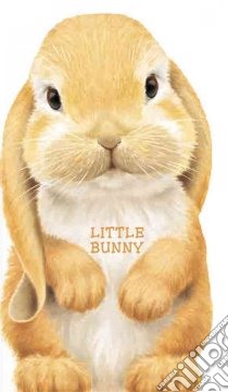 Little Bunny libro in lingua di Rigo L. (ILT)