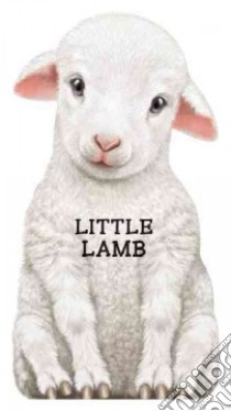 Little Lamb libro in lingua di Barron's Educational Series Inc. (COR)