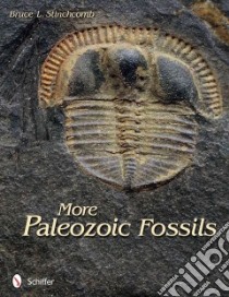 More Paleozoic Fossils libro in lingua di Stinchcomb Bruce L.