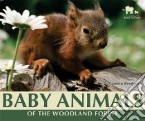 Baby Animals of the Woodland Forest libro in lingua di Bredeson Carmen