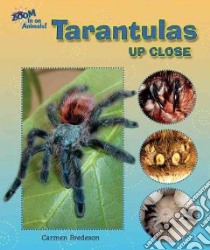 Tarantulas Up Close libro in lingua di Bredeson Carmen