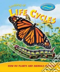 Looking at Life Cycles libro in lingua di Royston Angela