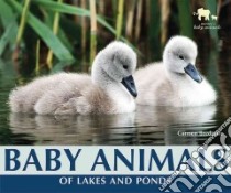 Baby Animals of Lakes and Ponds libro in lingua di Bredeson Carmen