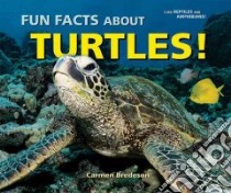Fun Facts About Turtles! libro in lingua di Bredeson Carmen