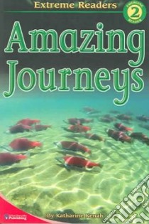 Amazing Journeys libro in lingua di Kenah Katharine