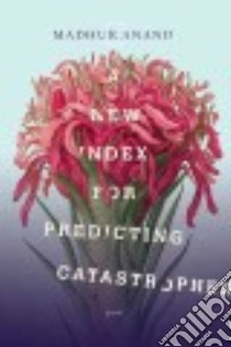 A New Index for Predicting Catastrophes libro in lingua di Anand Madhur