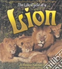 The Life Cycle of a Lion libro in lingua di Kalman Bobbie, Bishop Amanda