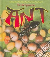 The Life Cycle of an Ant libro in lingua di Dyer Hadley, Kalman Bobbie
