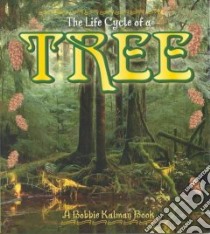 The Life Cycle of a Tree libro in lingua di Kalman Bobbie, Smithyman Kathryn