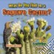 What Do You Find on a Saguaro Cactus? libro in lingua di Kopp Megan