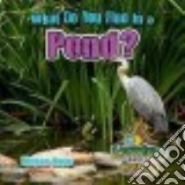 What Do You Find in a Pond? libro in lingua di Kopp Megan