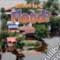 What Is a Flood? libro in lingua di Johnson Robin