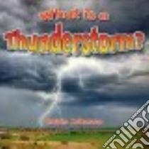 What Is a Thunderstorm? libro in lingua di Johnson Robin