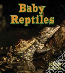 Baby Reptiles libro in lingua di Kalman Bobbie