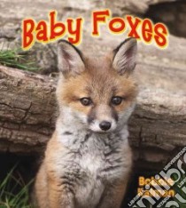 Baby Foxes libro in lingua di Kalman Bobbie