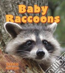 Baby Raccoons libro in lingua di Kalman Bobbie