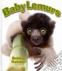 Baby Lemurs libro in lingua di Kalman Bobbie