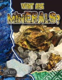 What Are Minerals? libro in lingua di Hyde Natalie