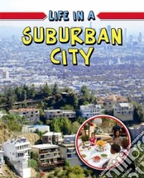 Life in a Suburban City libro in lingua di Flatt Lizann