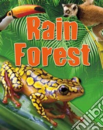 Rain Forest libro in lingua di Levete Sarah, Middleton Kathy (EDT), Sikkens Crystal (EDT)