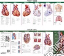 Anatomy Of The Heart libro in lingua di Anatomical Chart Company (COR)