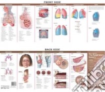 Anatomy & Disorders of The Respiratory System libro in lingua di Anatomical Chart Company (COR)
