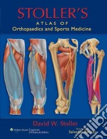 Stoller's Atlas of Orthopaedics and Sports Medicine libro in lingua di Stoller David W., Baltran Salvador (ILT)