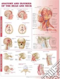 Anatomy and Injuries of the Head and Neck Anatomical Chart libro in lingua di Anatomical Chart Company (COR), Hutchinson Mark (CON)