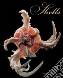 Shells libro in lingua di Bouchet Philippe, Mermet Gilles (PHT)