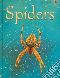 Spiders, Level 1 libro in lingua di Gilpin Rebecca