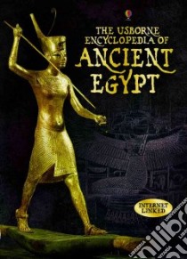 The Usborne Encyclopedia of Ancient Egypt libro in lingua di Harvey Gill, Reid Struan