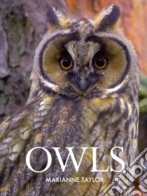 Owls libro in lingua di Taylor Marianne