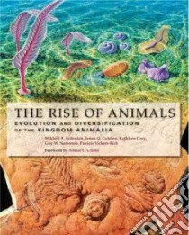 The Rise of Animals libro in lingua di Fedonkin M. A., Gehling James G., Grey Kathleen, Narbonne Guy M., Vickers-Rich Patricia