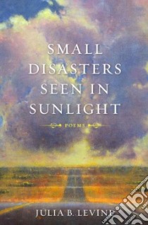 Small Disasters Seen in Sunlight libro in lingua di Levine Julia B.
